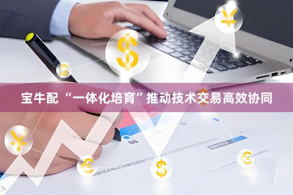 宝牛配 “一体化培育”推动技术交易高效协同