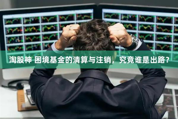 淘股神 困境基金的清算与注销，究竟谁是出路？