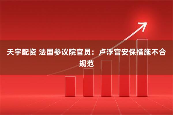 天宇配资 法国参议院官员：卢浮宫安保措施不合规范