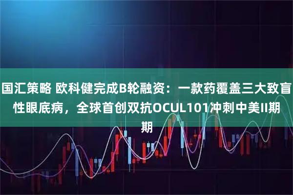 国汇策略 欧科健完成B轮融资：一款药覆盖三大致盲性眼底病，全球首创双抗OCUL101冲刺中美II期