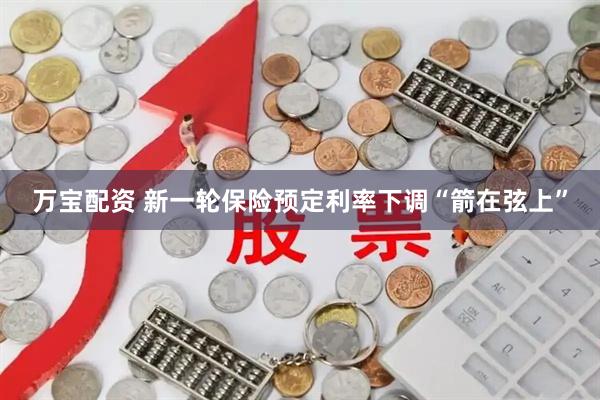 万宝配资 新一轮保险预定利率下调“箭在弦上”